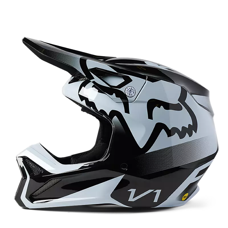 Fox Racing,Aerodynamic Design Helmet, Youth V1 Leed Helmet,  29729-018